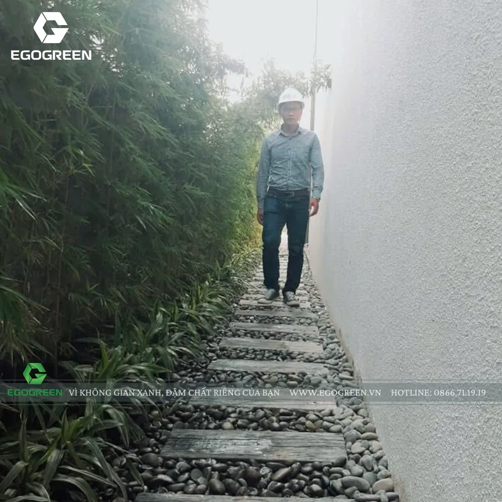 Đội ngũ EGOGREEN sẽ tiến hành khảo sát hiện trạng kỹ càng.